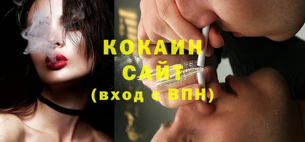 соль ск Алексин