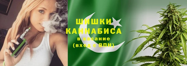 соль ск Алексин