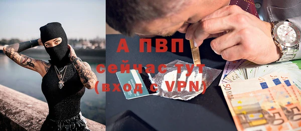 соль ск Алексин